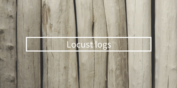 Locust logs