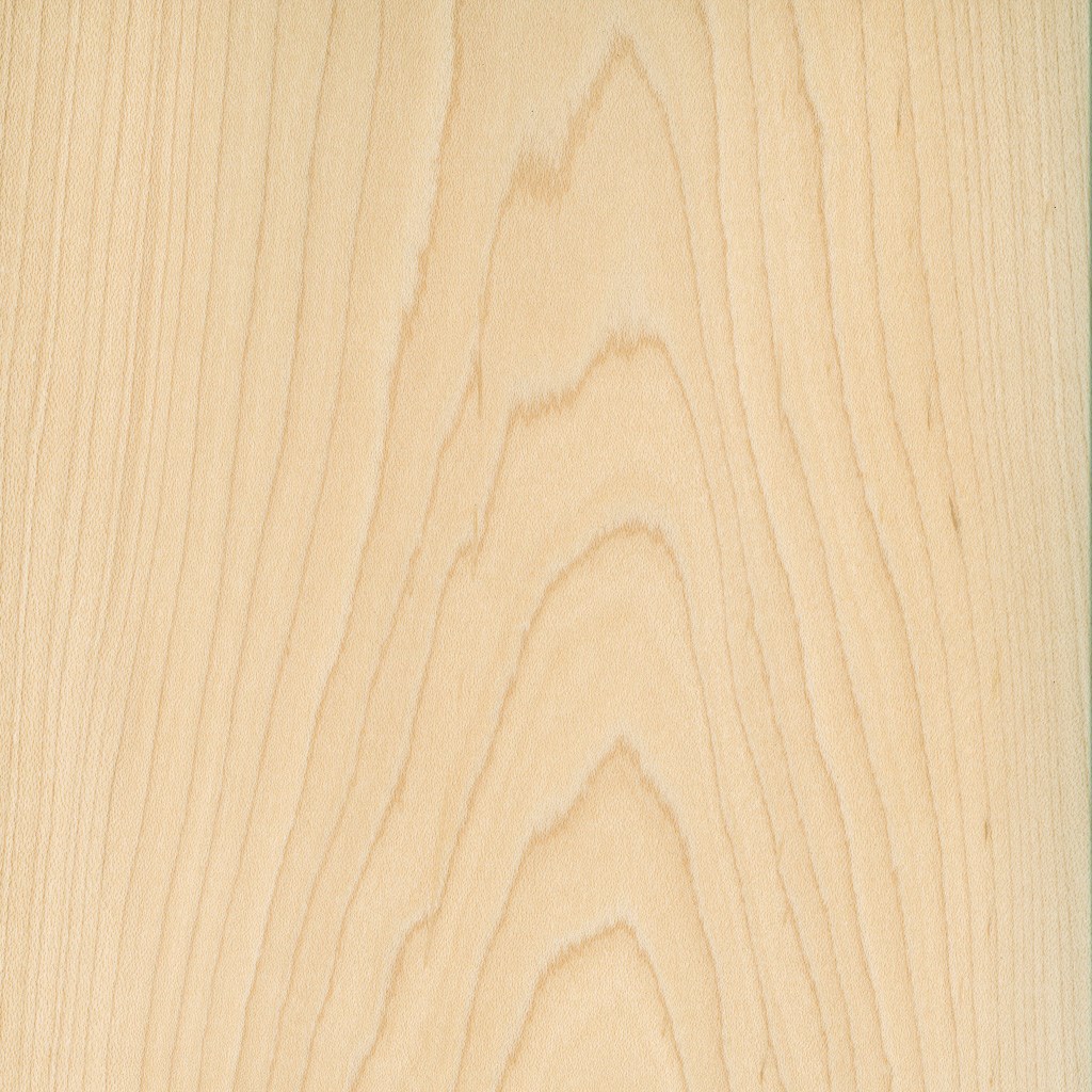Veneer Maple 2.40 mm