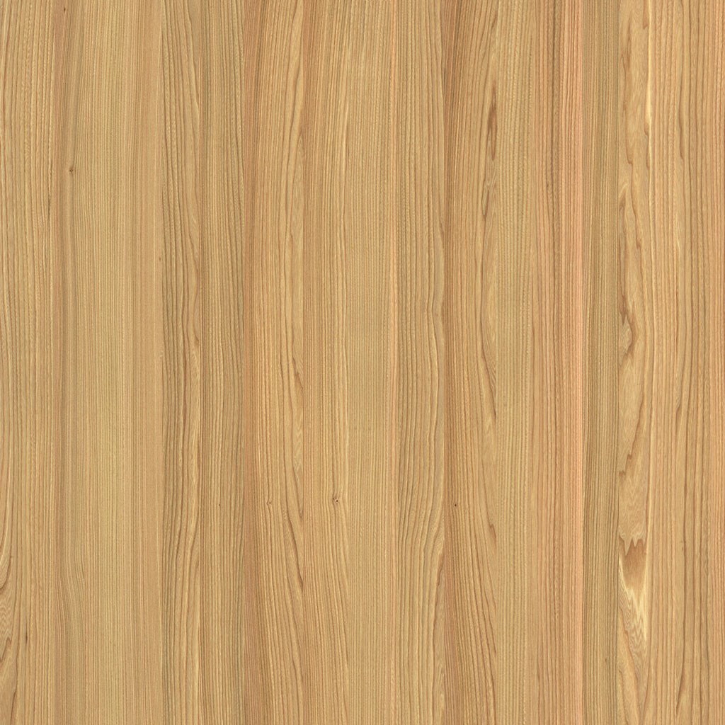 1-layer solid wood panel steamed Elm | made to order | continuous lamellas