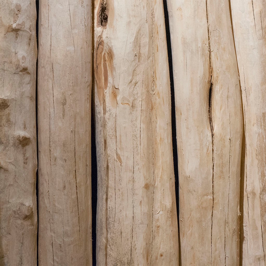 Locust logs | peeled | grounded to heartwood diameter Ø approx. 20-25 cm | length 400 cm