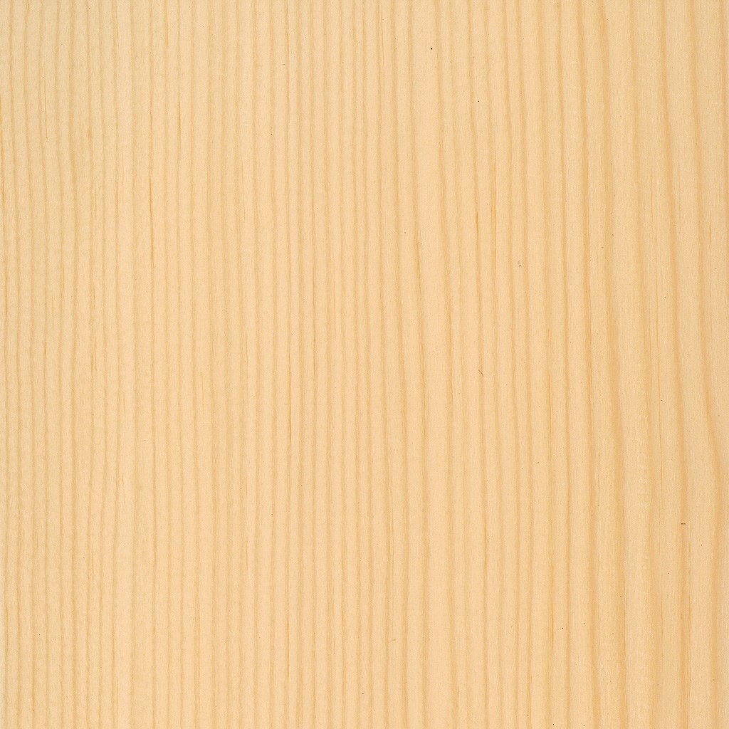 veneer sample Spruce