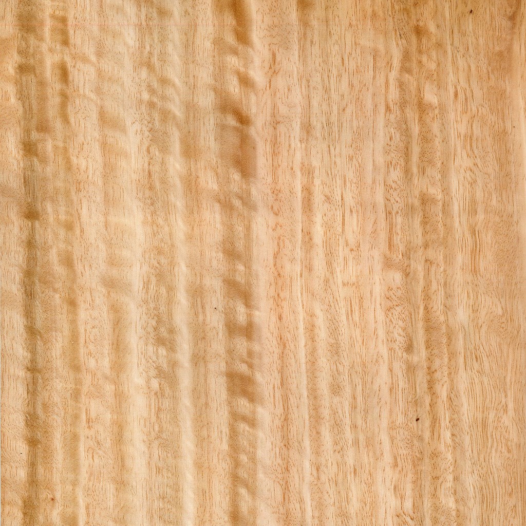 Muster Furniere Eukalyptus geriegelt