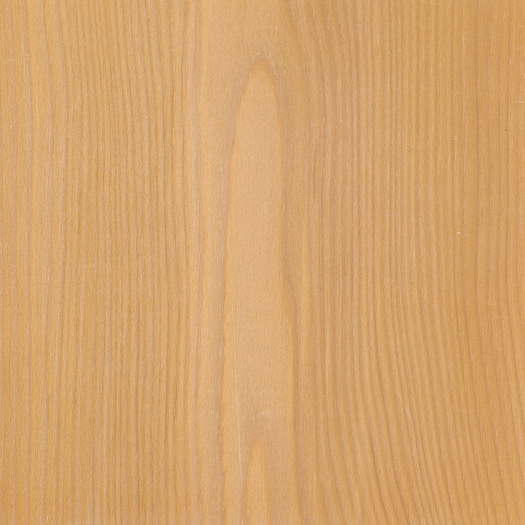 veneer sample Steamed Spruce